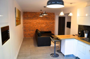 Wood & Bricks, appartement 1 chambre au calme - centre ville - Wifi